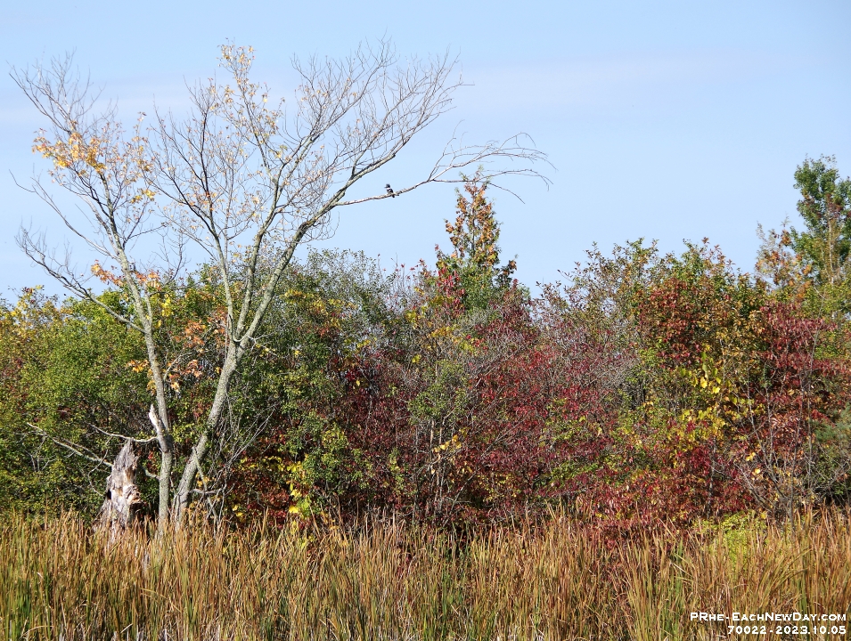 70022CrLeUsm - A lovely Sunday afternoon with Beth kayaking Lake Scugog from Port Perry